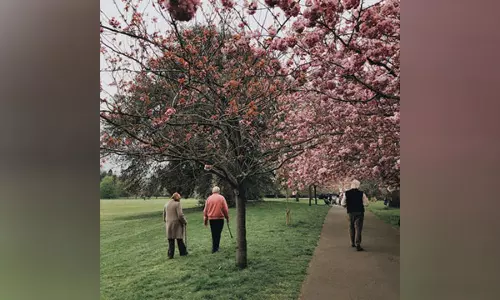 Older adults who remain more active have better quality of life: Study