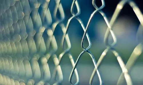 Govt nod mandatory for power fence around farms