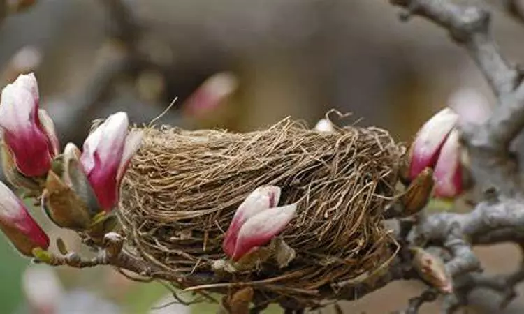 Rising temperatures are making it harder for birds to breed: Study
