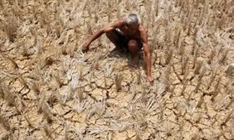 WMO declares onset of El Nino, warns surge in global temperatures