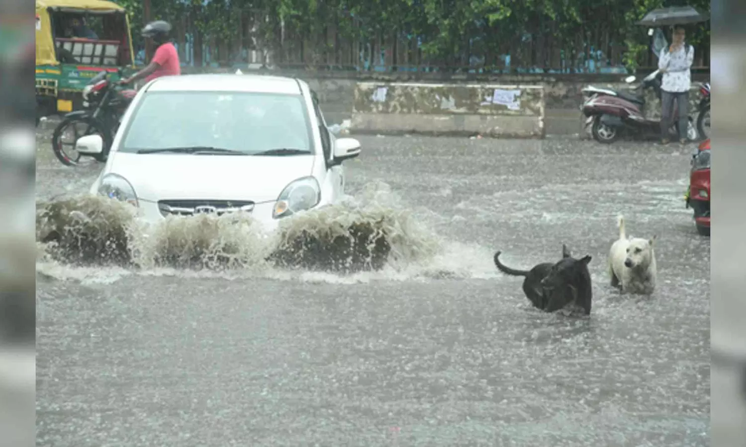 Rain Fury: 15 houses collapse in Delhi; woman buried under debris