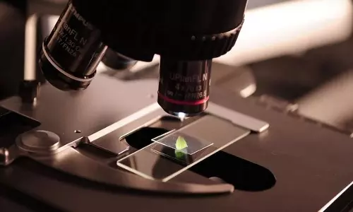 Study finds structure of a crucial neural transport protein Study finds structure of a crucial neural transport protein