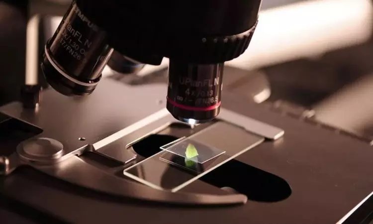 Study finds structure of a crucial neural transport protein Study finds structure of a crucial neural transport protein