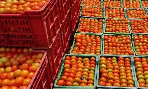 Tomato prices hiked by Rs 10 in Chennais Koyambedu market