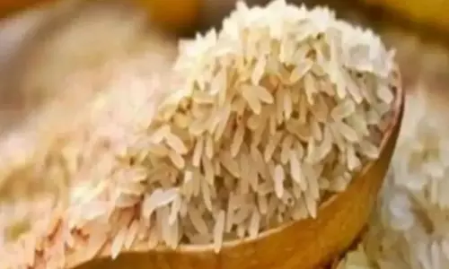 Deficient rainfall, lower sowing to push rice prices higher