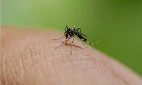 Dengue, flu, water-borne diseases rising in Delhi, say doctors Dengue, flu, water-borne diseases rising in Delhi, say doctors