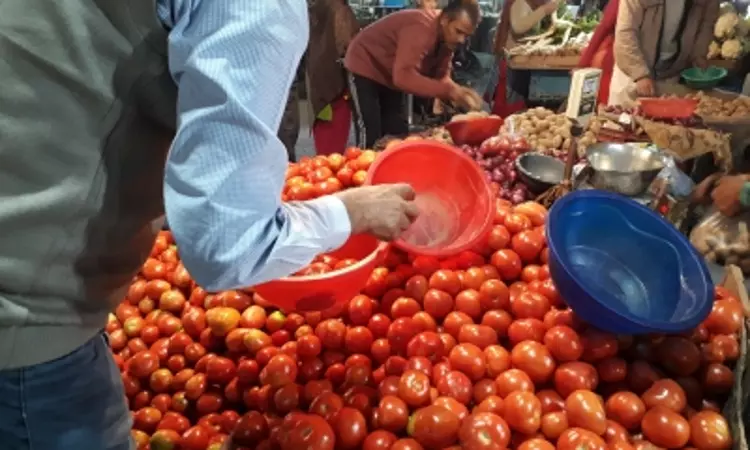 Amid rising prices, Centre to source tomatoes from Andhra, Ktaka, Maha