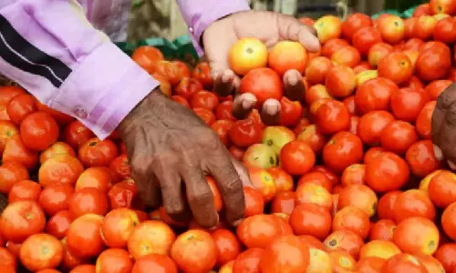 Tomato price shoots up to Rs 170, further spike likely