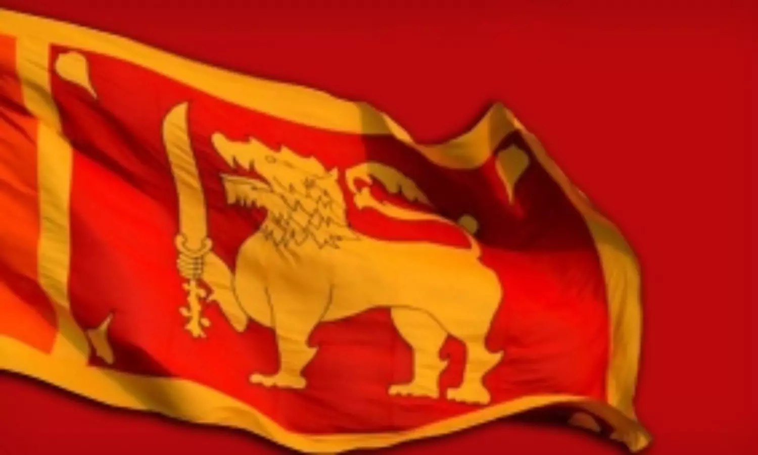 Sri Lanka records primary surplus of $167 mn up to May Sri Lanka records primary surplus of $167 mn up to May