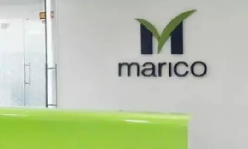 Marico expects food biz to reach Rs 850 cr in FY24