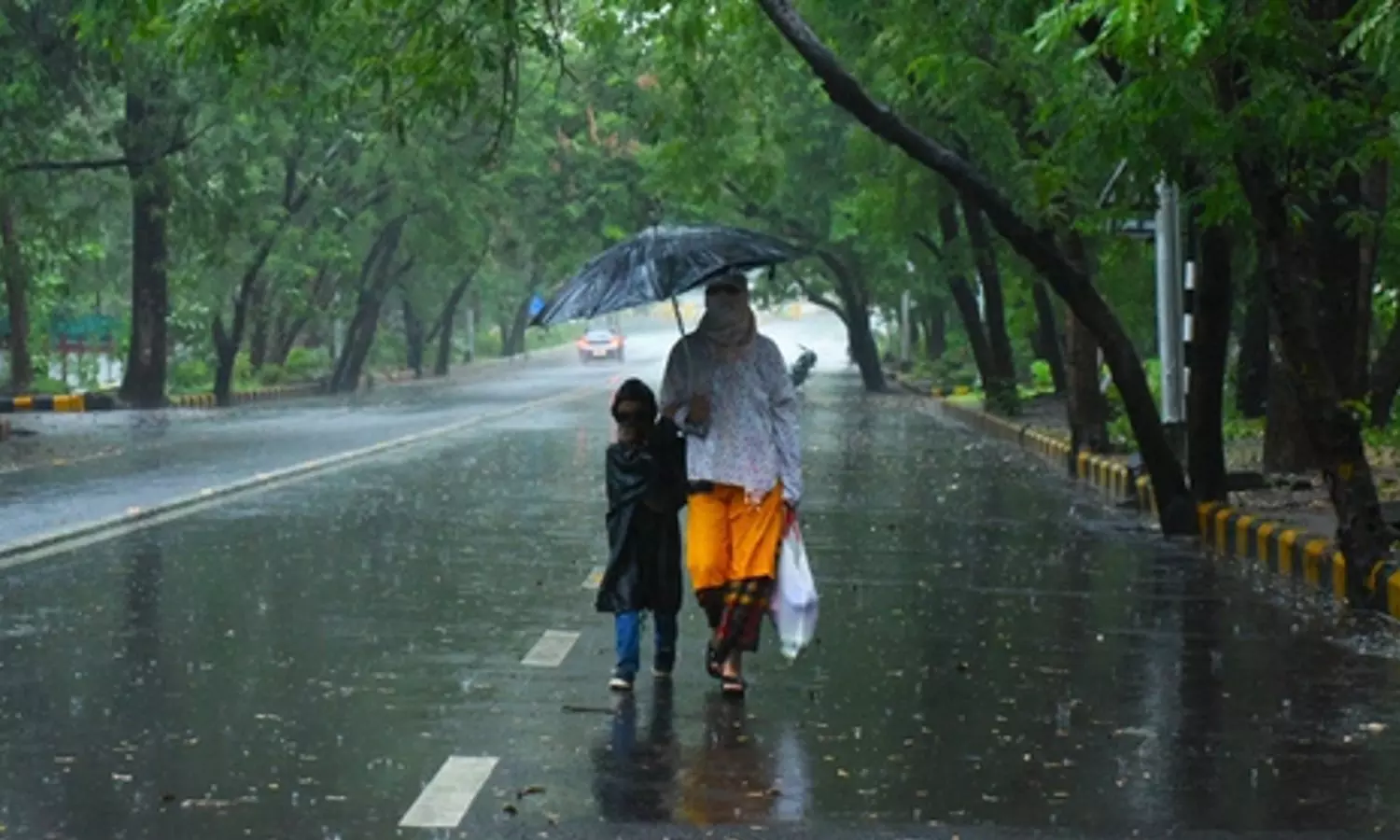 North Bengal flood threat: Mamata sending high-level delegation to area