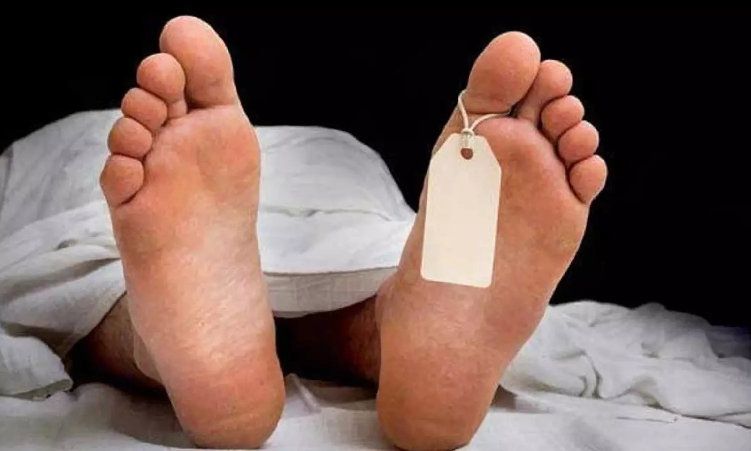 Two fighting on train fall to death