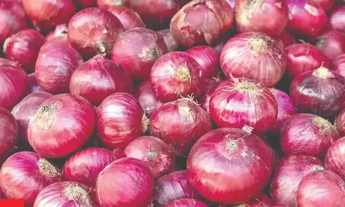 Govt procures 3L tonnes onion for buffer stock