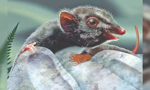 Fossils where they don’t belong? We didn’t look hard enough Fossils where they don’t belong? We didn’t look hard enough