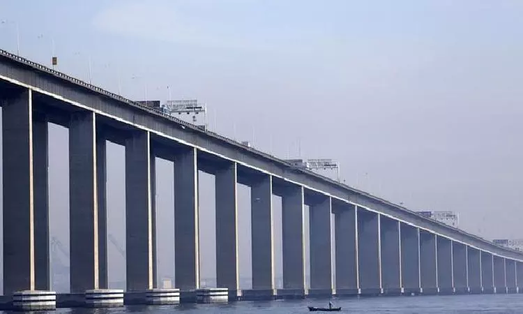 Crimean bridge partially open to traffic: Russia