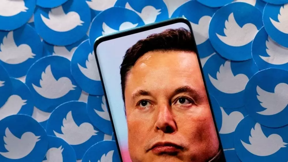 Twitter logo change: Elon Musk to bid adieu to all birds Twitter logo change: Elon Musk to bid adieu to all birds