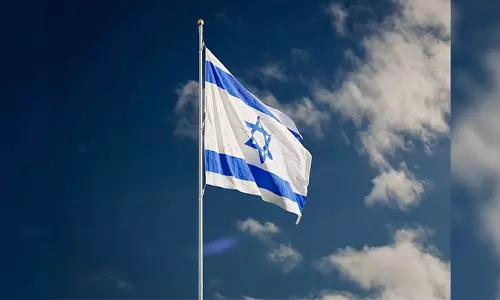 Israel Police seizes hundreds of marijuana plants from greenhouse