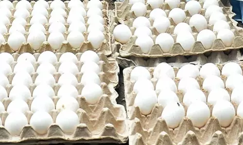Eggs safe for consumption, cancer risk claims unfounded: FSSAI Eggs safe for consumption, cancer risk claims unfounded: FSSAI