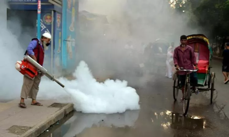 Bangladeshs dengue death toll spikes to 185
