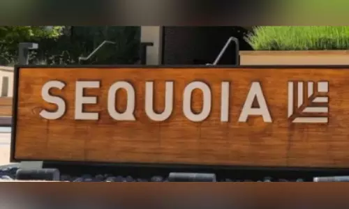 Sequoia Capital cuts its crypto fund by over 65% in funding winter