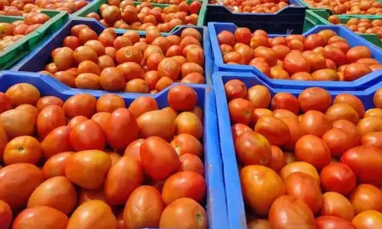 Tomato price shoots up to Rs 180 per kg in Koyambedu wholesale market