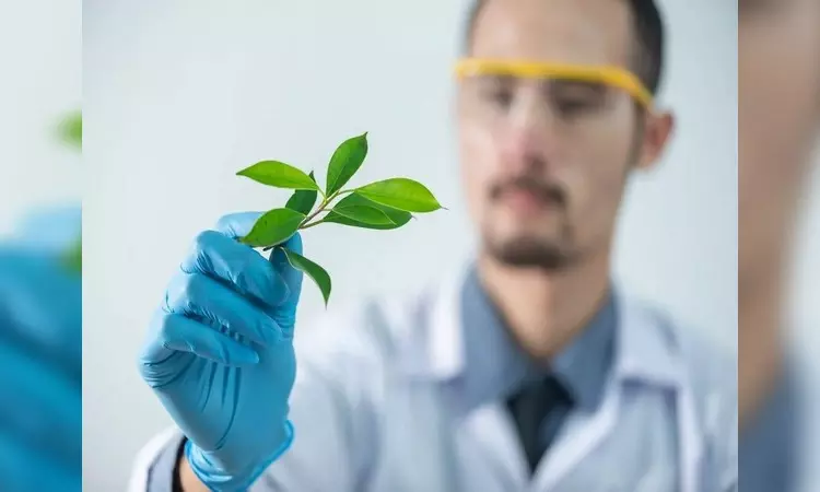 Research improves understanding of how bacteria aid plant growth