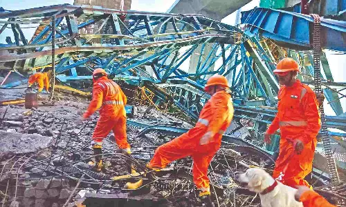 20 crushed as 700-MT girder launcher crashes in Maha