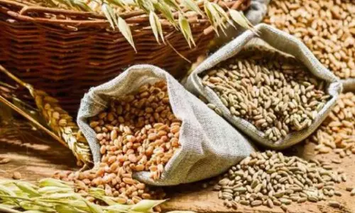 World wheat prices rise in July: FAO World wheat prices rise in July: FAO
