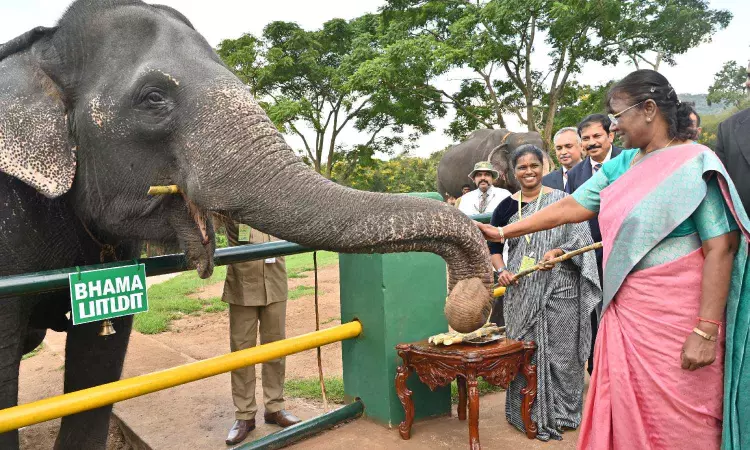 Ensure constitutional rights to tribals: Murmu at Theppakadu elephant camp in TN