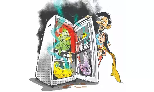 Leftovers: To eat or not to eat?