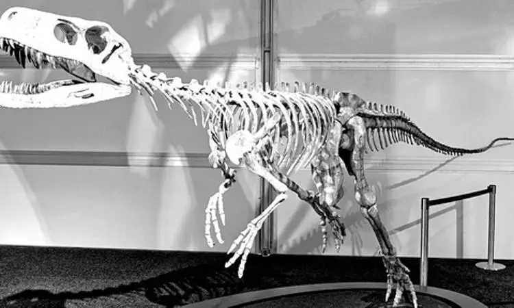 Lucknow scientist part of team that discovered oldest fossil of dinosaur