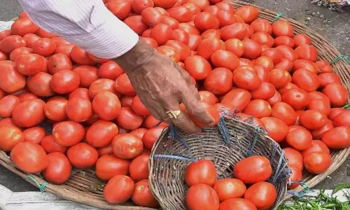 Rains cause tomato prices to spike in Chennai