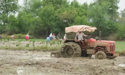 Rural consumption at six quarter low led by declines in tractor sales, farm exports