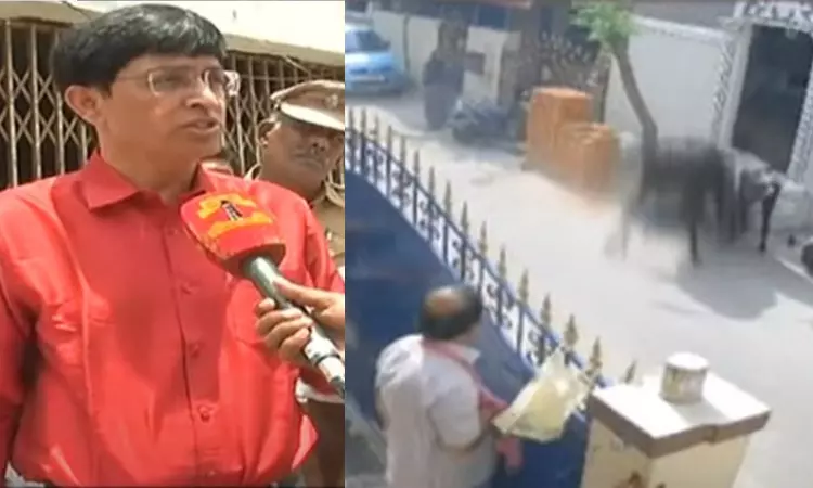 Action will be taken against cow owners for raising cows on streets