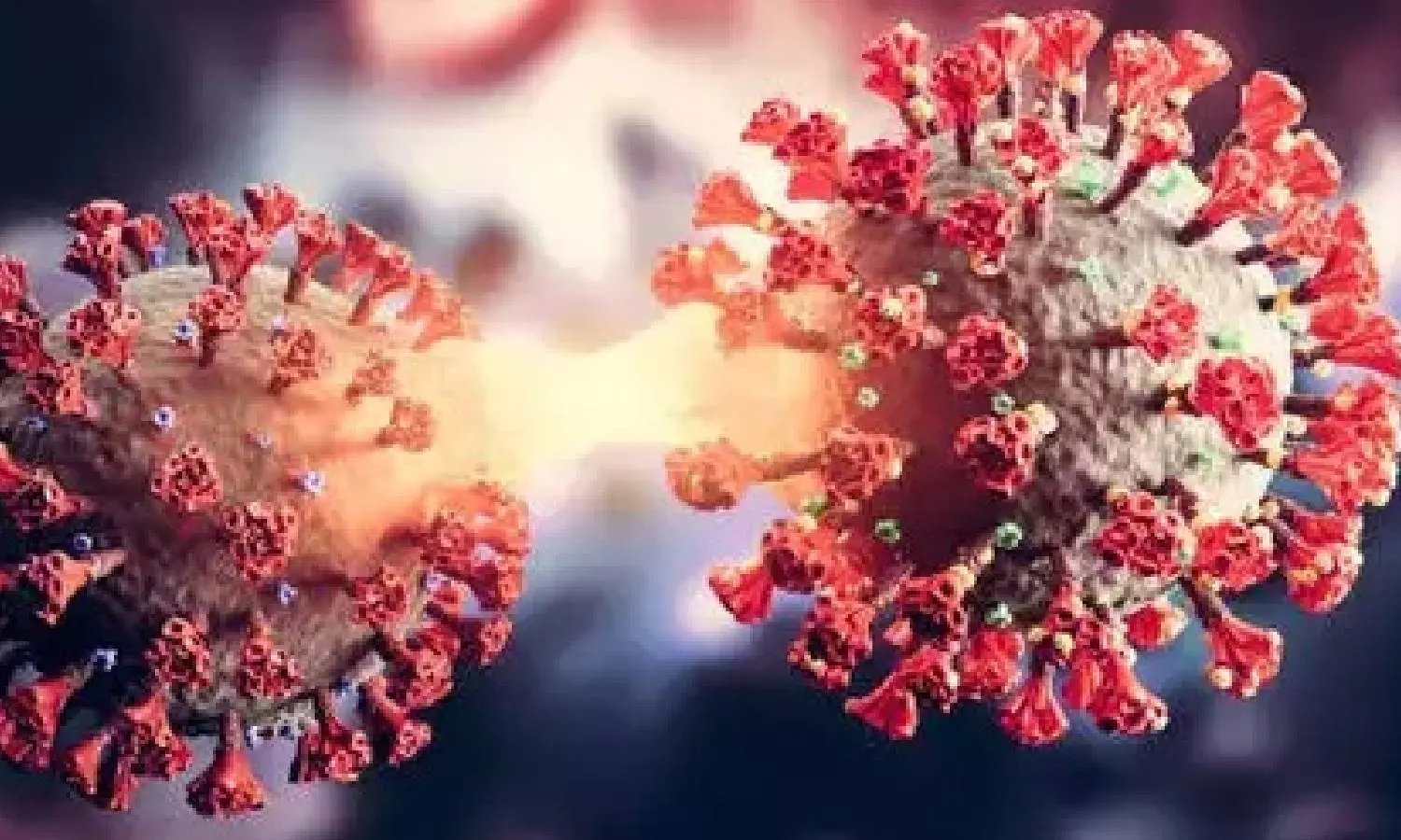 Highly mutated COVID variant found in new countriesphase’
