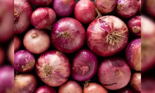 Centre starts releasing onions from buffer stock to rein in prices