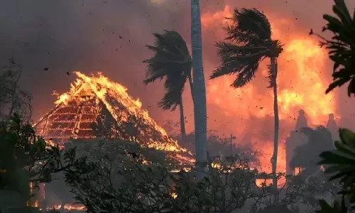 Pope sends condolences as death toll rises in Maui wildfires