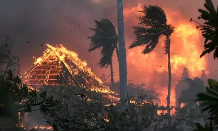 Pope sends condolences as death toll rises in Maui wildfires Pope sends condolences as death toll rises in Maui wildfires