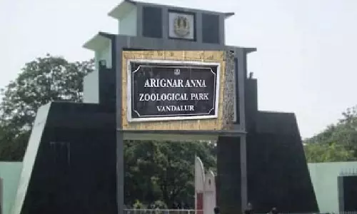 Vandalur zoo to remain open on I-Day