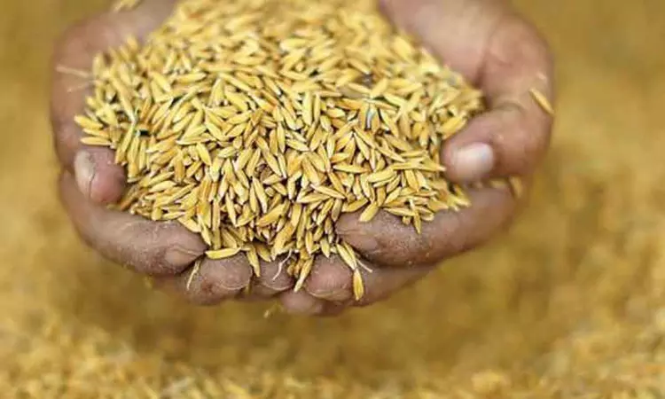 Incentive for ryots with traditional rice seed bank Incentive for ryots with traditional rice seed bank