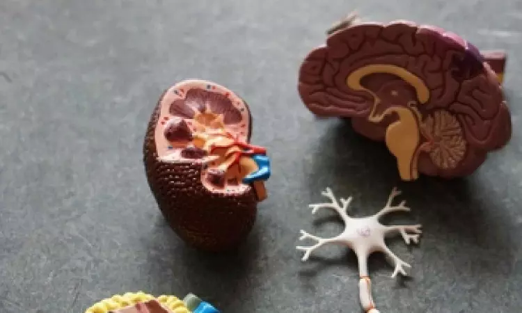 Gene therapy shows promise for children with kidney disease