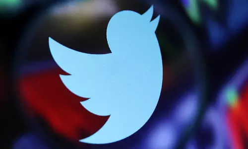 Environmentalists quitting Twitter in bulk following Musk takeover, research finds