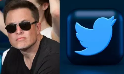 50% of environmentalists abandoned Twitter after Musk’s takeover