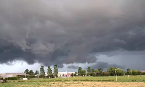 Extreme weather to cost Italian farmers $6.5 bn: Report