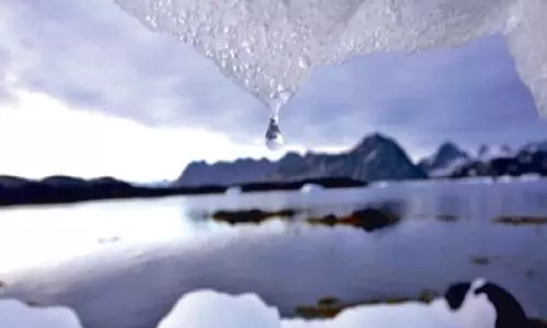Melting glaciers could create new ecosystems before end of century: Study