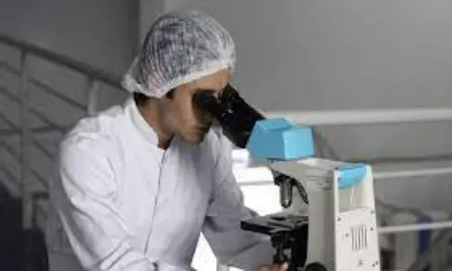 Study investigates kidney illness using sophisticated imaging techniques