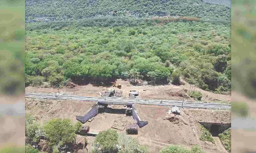 Safe underpass to skip rail line awaits jumbos