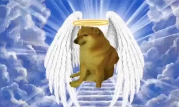 Viral Memes Dog Cheems dies due to health complications Viral Memes Dog Cheems dies due to health complications