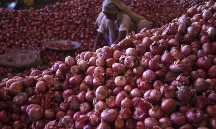NCCF to sell buffer onion at subsidised rate of Rs 25/kg in Delhi from tomorrow
