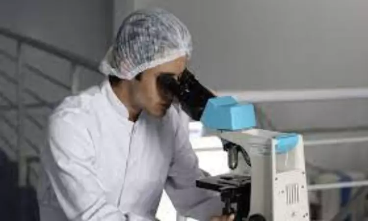 Study investigates kidney illness using sophisticated imaging techniques